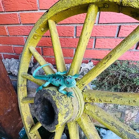 Pensiune даутев връх *