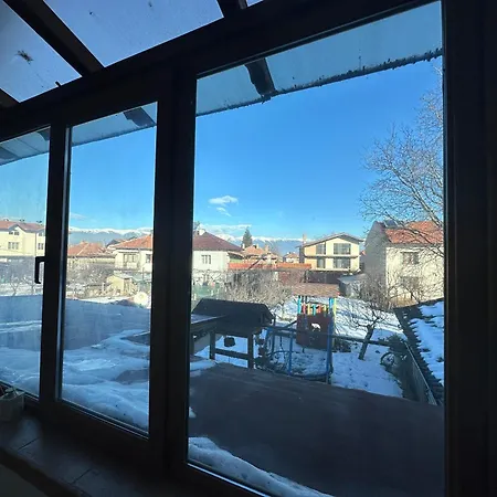 даутев връх *