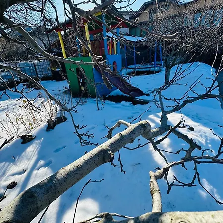 даутев връх *