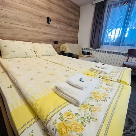 даутев връх 게스트하우스