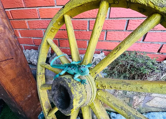 Πανσιόν даутев връх *